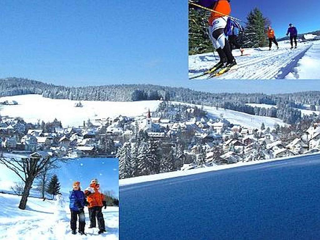 Appartmentvermietung Terrassenpark Schonach Schonach im Schwarzwald Exteriör bild